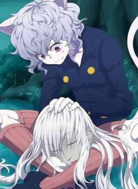 Neferpitou | Wiki | Hunter X Hunter°™ Amino