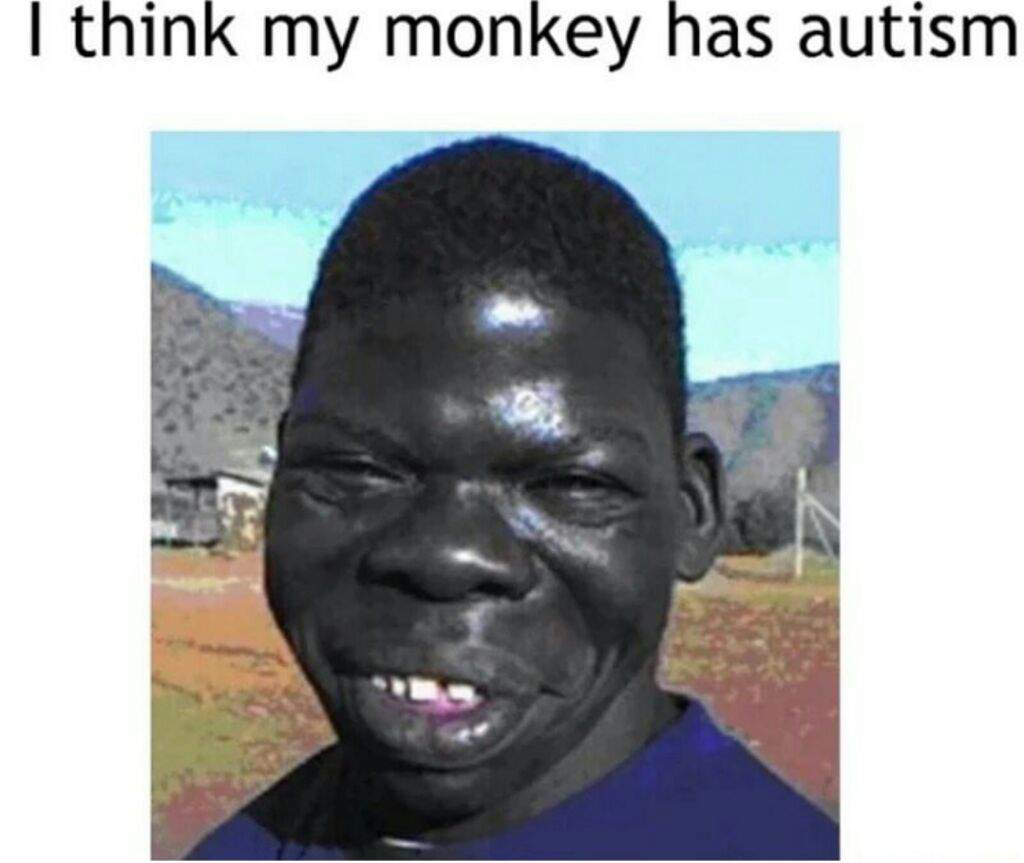 Autism | Dank Memes Amino - 1024 x 863 jpeg 54kB