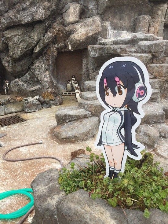 Japan Puts Anime in Zoo and Penguin Adopts a Waifu | Otaku-Realm Amino