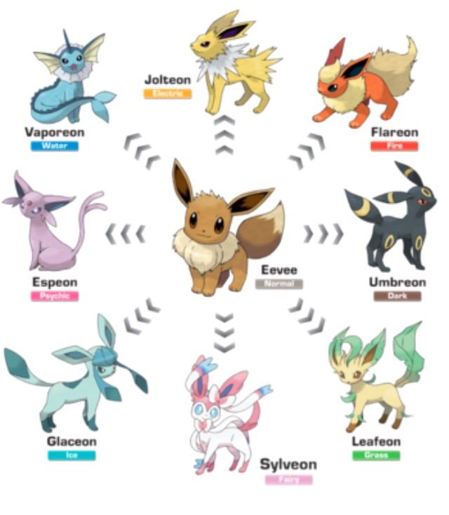 What Evolution Of Eevee Is Your Favorite? | Anime Amino