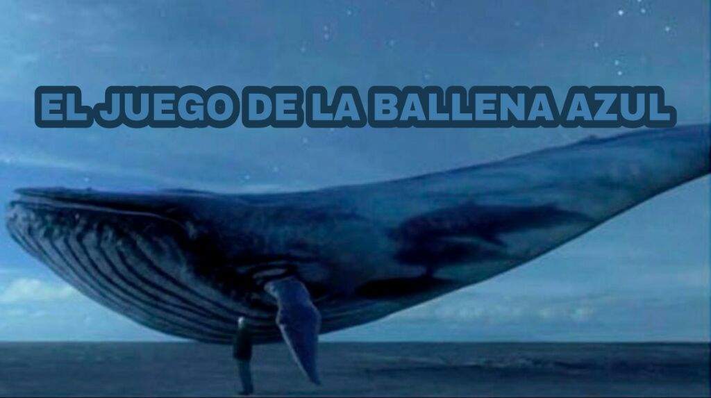 🐋EL PERTURBADOR JUEGO DE LA BALLENA AZUL🐋 Social Amino ^^ Amino 🐋EL PERTURBADOR JUEGO DE LA BALLENA AZUL🐋 Social Amino ^^ Amino