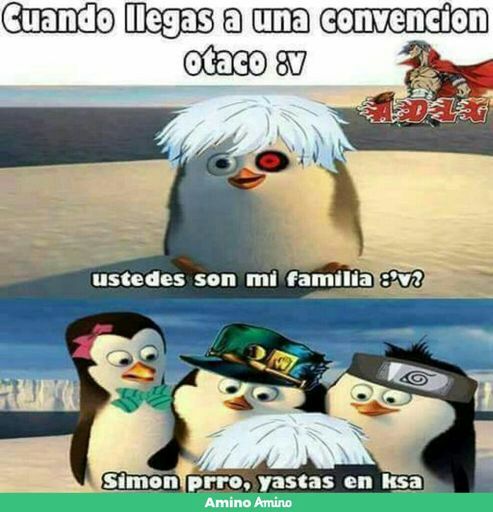 Un momo :v | •Meme• Amino