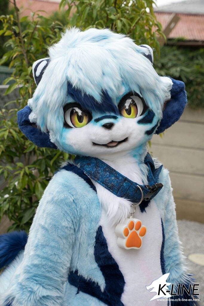 Kemono fursuit | FURRLIFEandMORE Amino