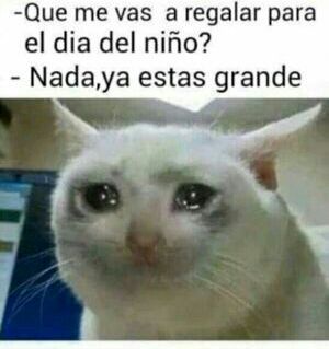 Triste realidad ;-; | •Meme• Amino