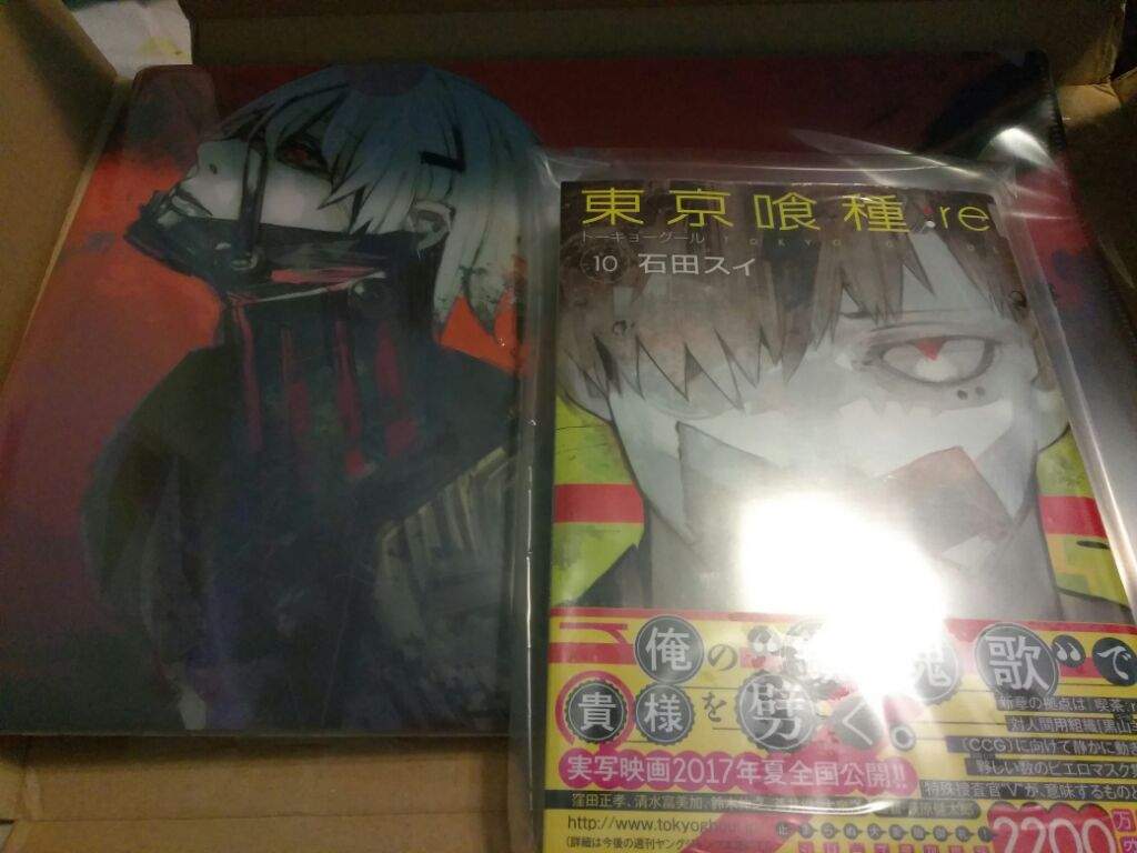More Merch Vol 10 Of Re With Ken And Amon Folder Ghoul Amino