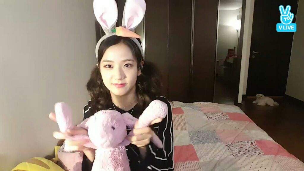 jisoo bunny doll