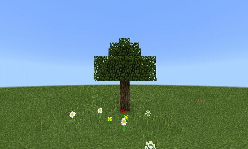 Minecraft big oak tree