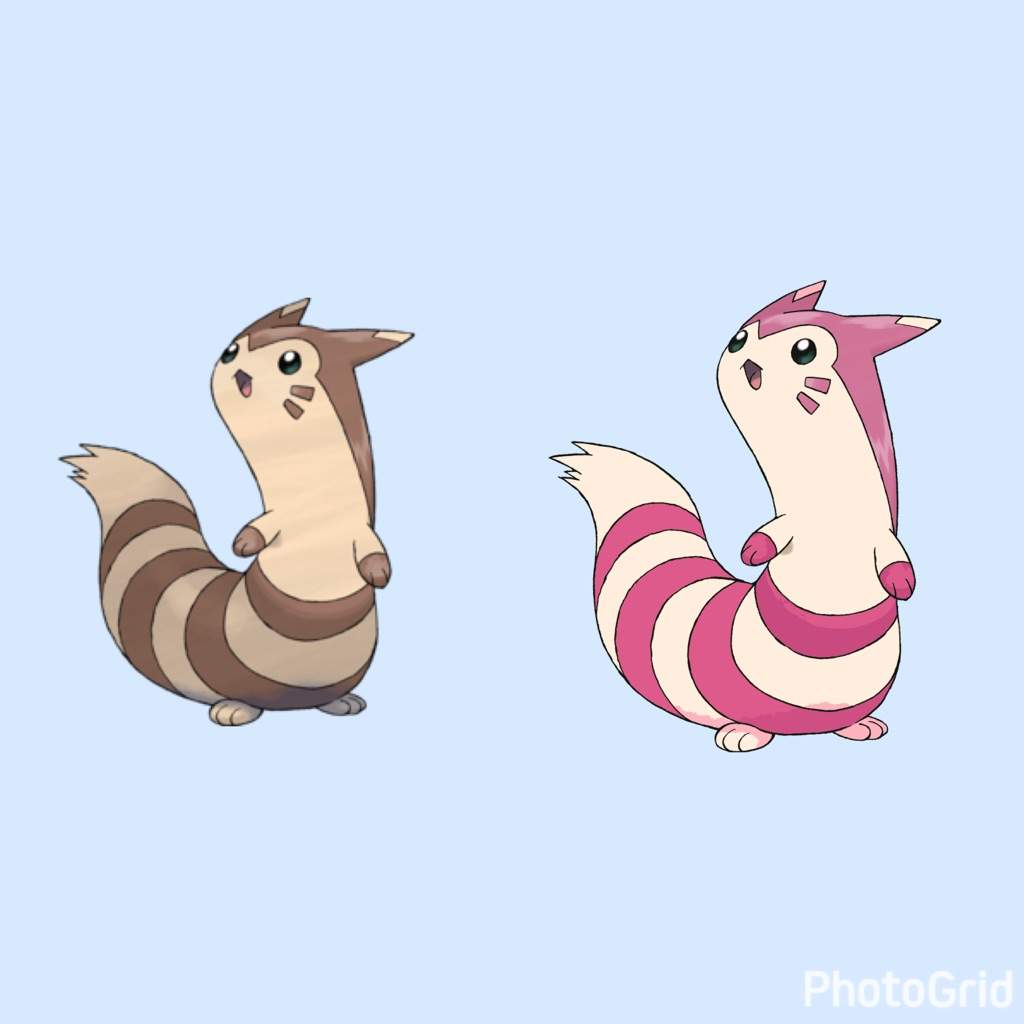 furret 180cm