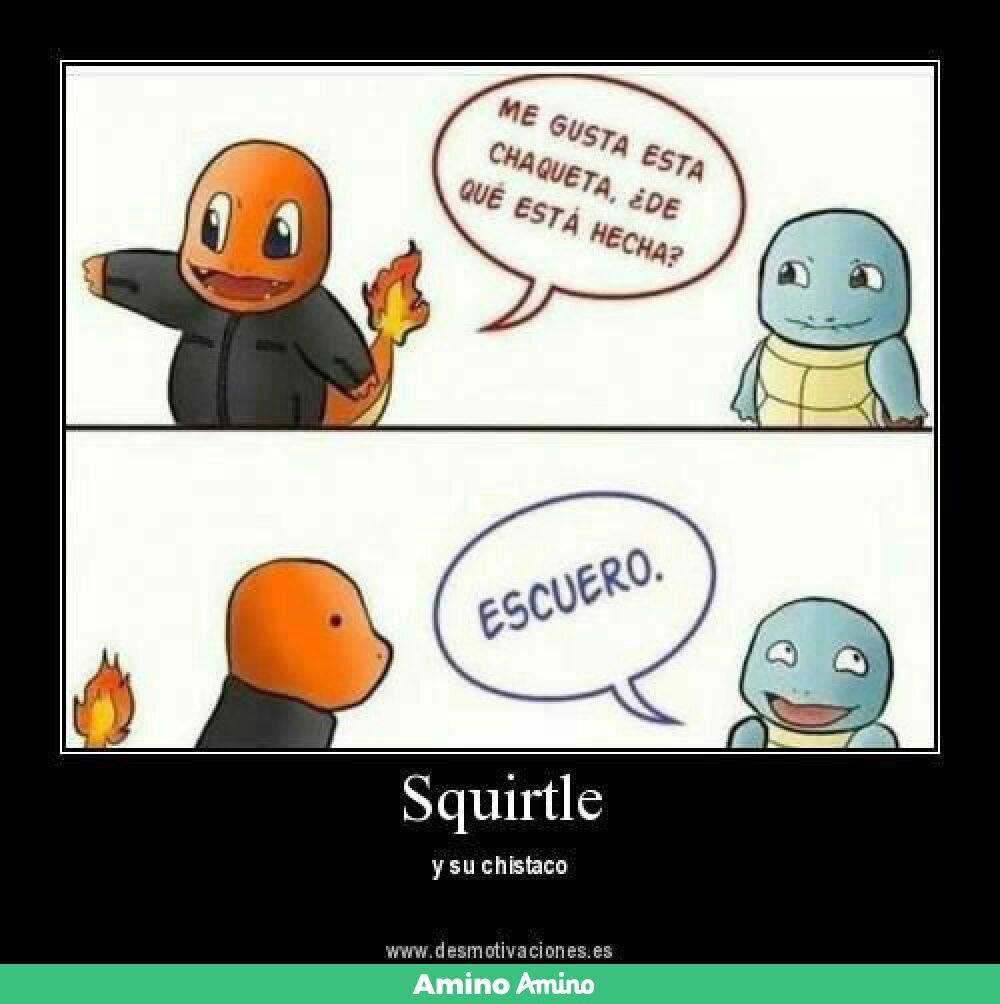 Memes Edicion Squirtle 1 Anime Amino