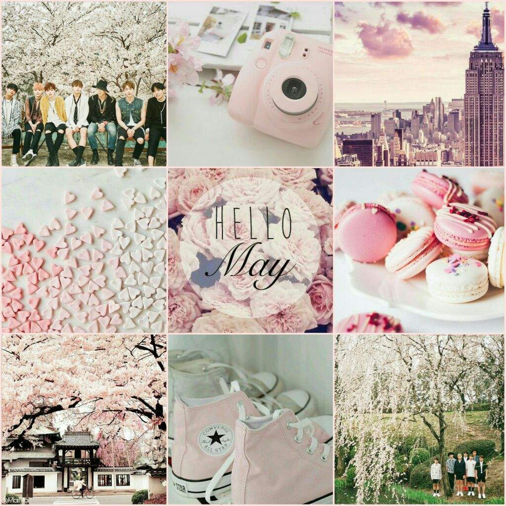 May 14 Aesthetic 