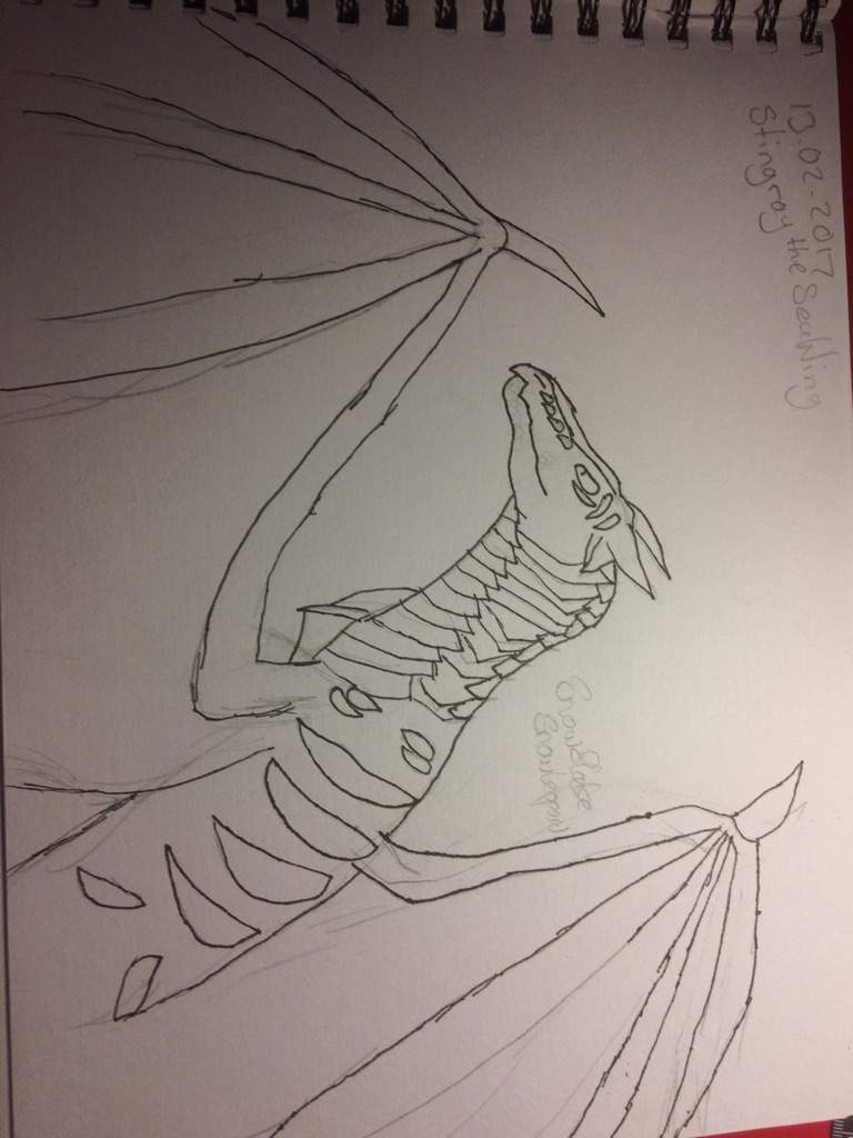 Random Seawing Drawing Wings Of Fire Amino - 