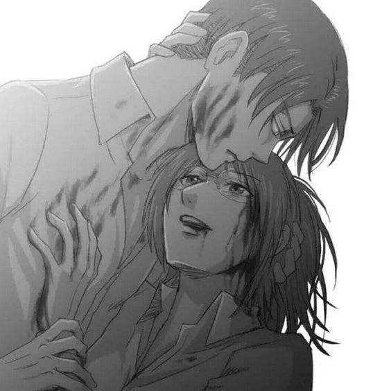 Levihan Levi X Hanji Attack On Titan Amino