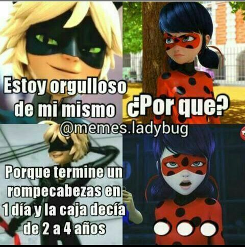Memes | Miraculous Ladybug: En Español Amino