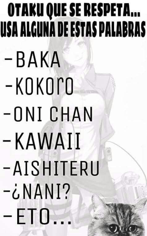 Palabras Que Solo Los Otakus Conocen •anime• Amino