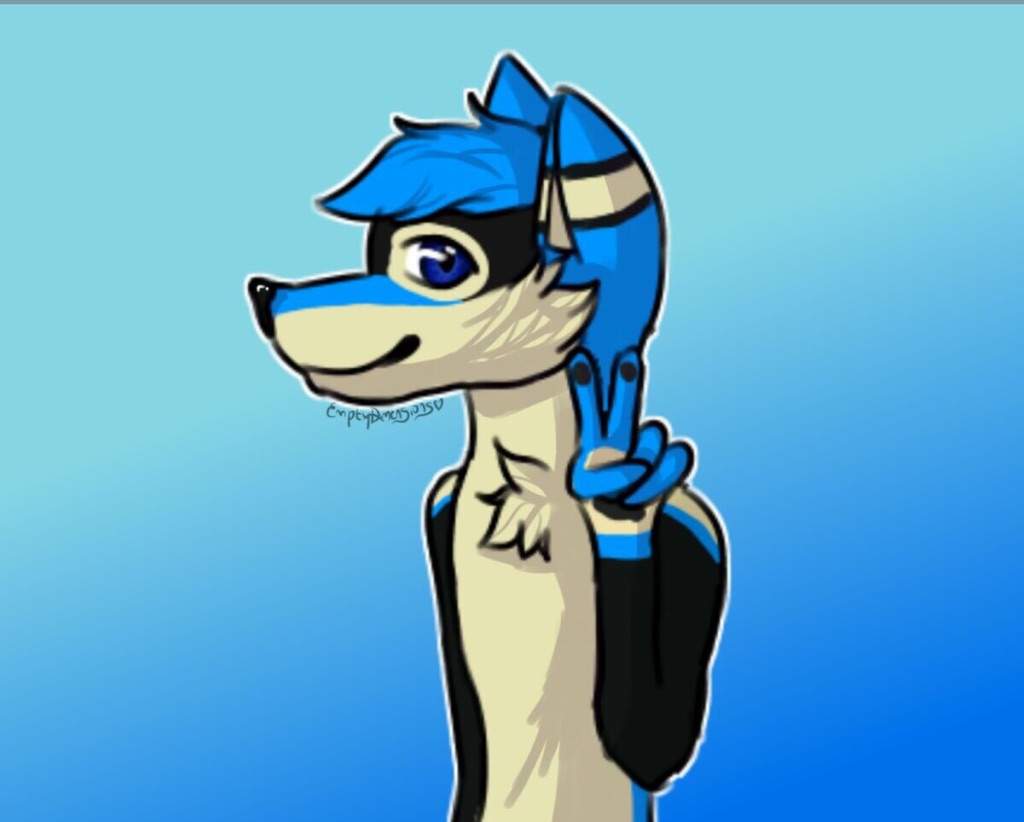 SIRR Furry Amino