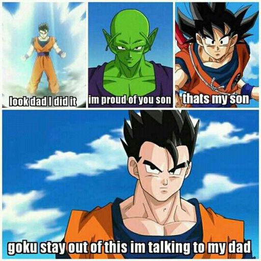 Gohan's Dad.. | Anime Amino