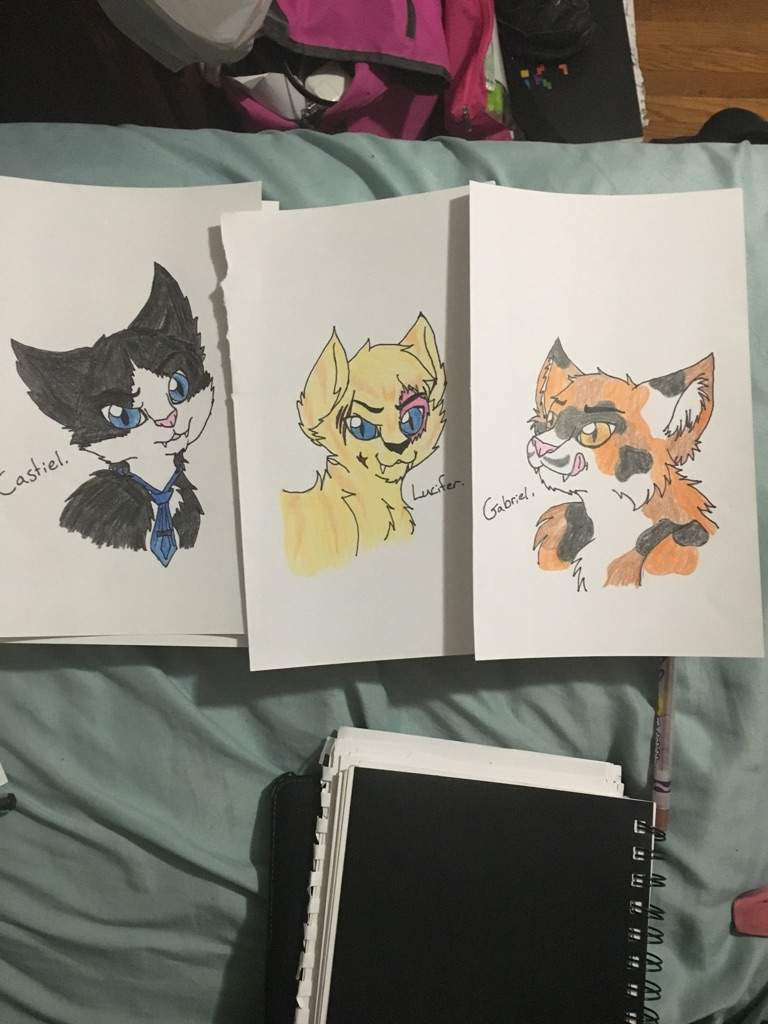 Finished supernatural cats. Supernatural Amino