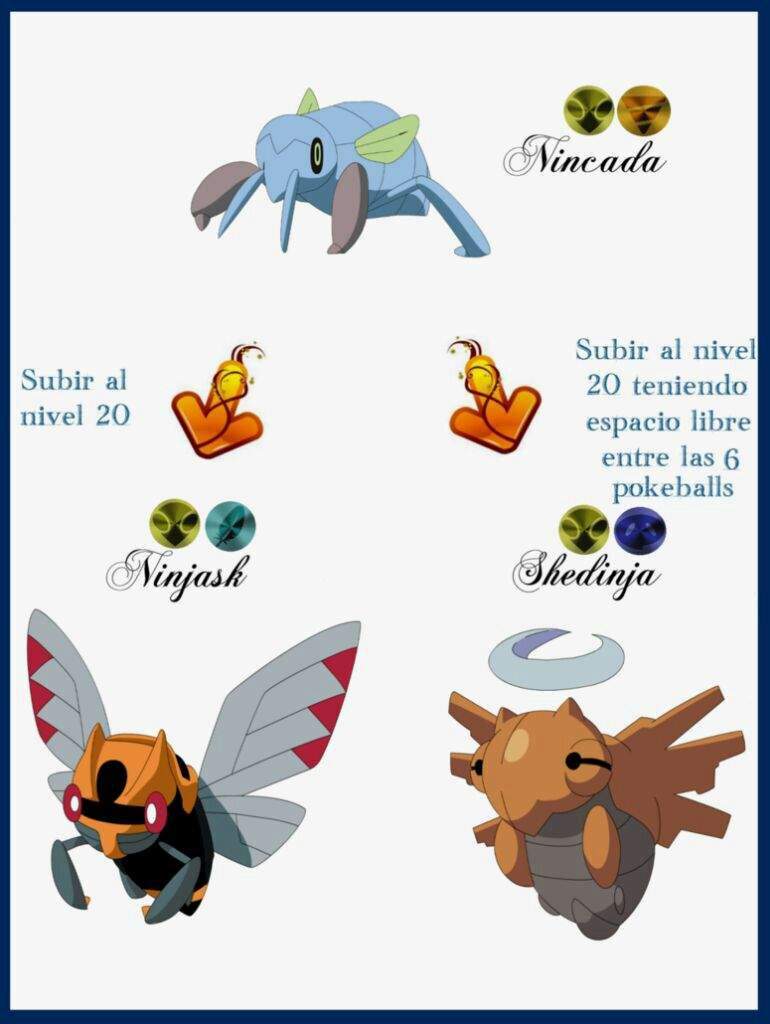 I Mi mejor equipo pokemon Rubi/Zafiro •Pokémon• En Español Amino I Mi mejor equipo pokemon Rubi/Zafiro •Pokémon• En Español Amino