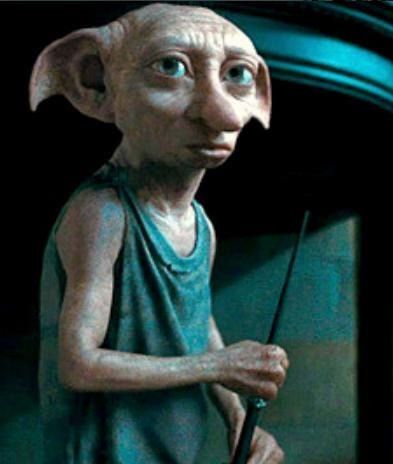 dobby set free