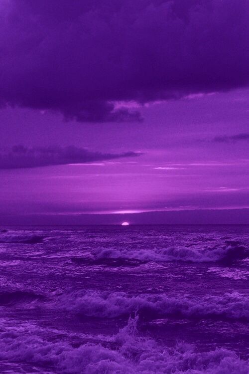 Purple aesthetics | Exploration Aesthetic Amino