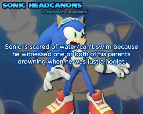 Sonic Related | Sonic the Hedgehog! Amino