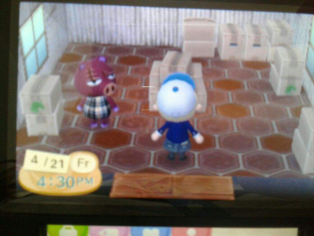 Free Rasher | 🍃 Animal Crossing🍃 Amino Free Rasher | 🍃 Animal Crossing🍃 Amino