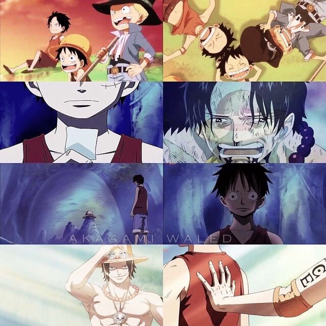 We Fight Together One Piece Amino