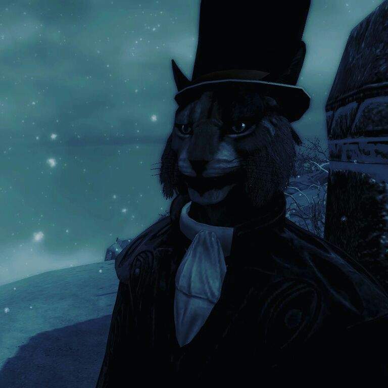 Kharjo Khajiit Video Games Amino