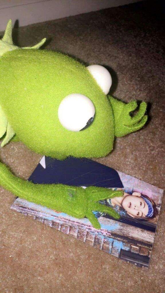 Kermit and BTS | ARMY's Amino