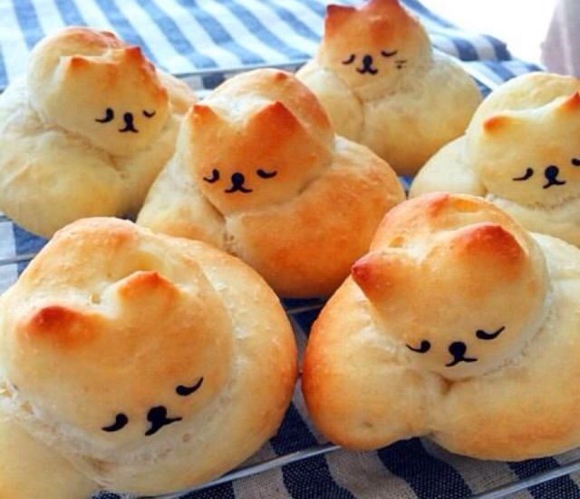 The Sweet Cat Cafe! Neko Amino