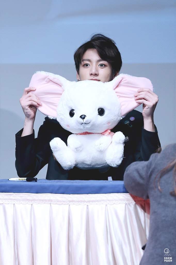 bts plushies jungkook