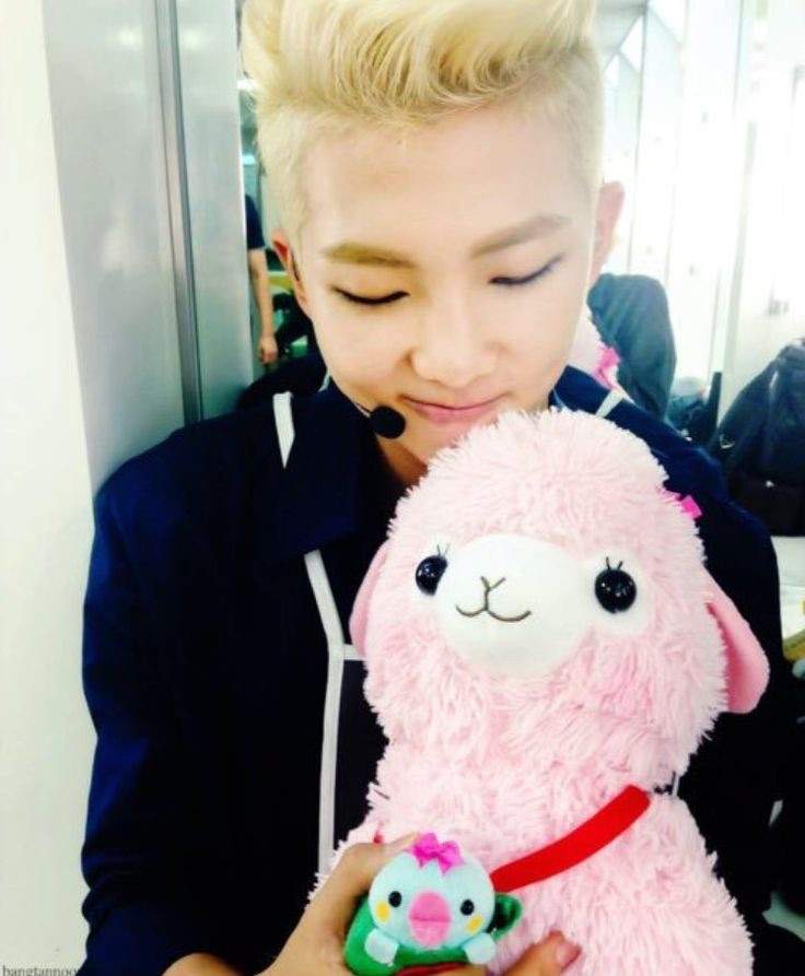 namjoon plush