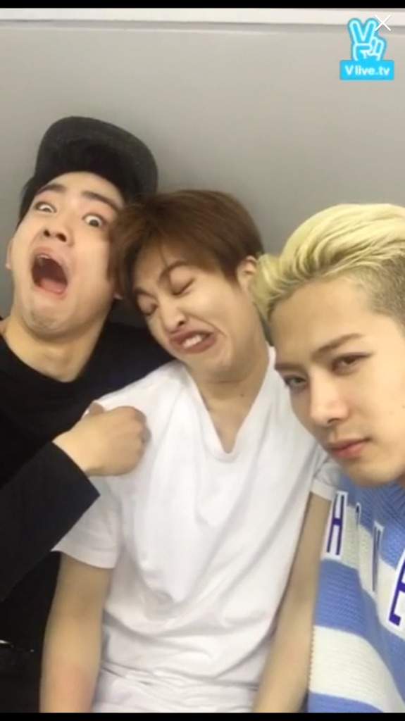 Got3 Got7 Amino
