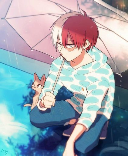 Shouto Todoroki | Wiki | Anime Amino