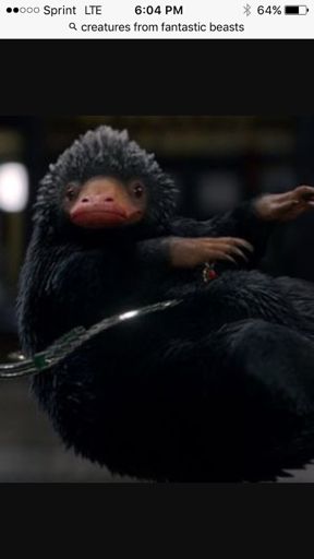 The Niffler | Wiki | Harry Potter Amino