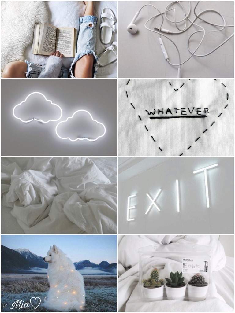 Taurus Aesthetic 🌟 | Zodiac Amino