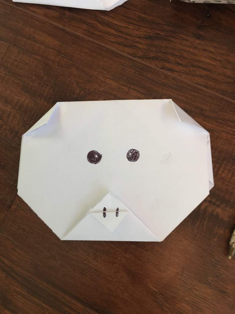 Origami Pig Aj Amino Amino