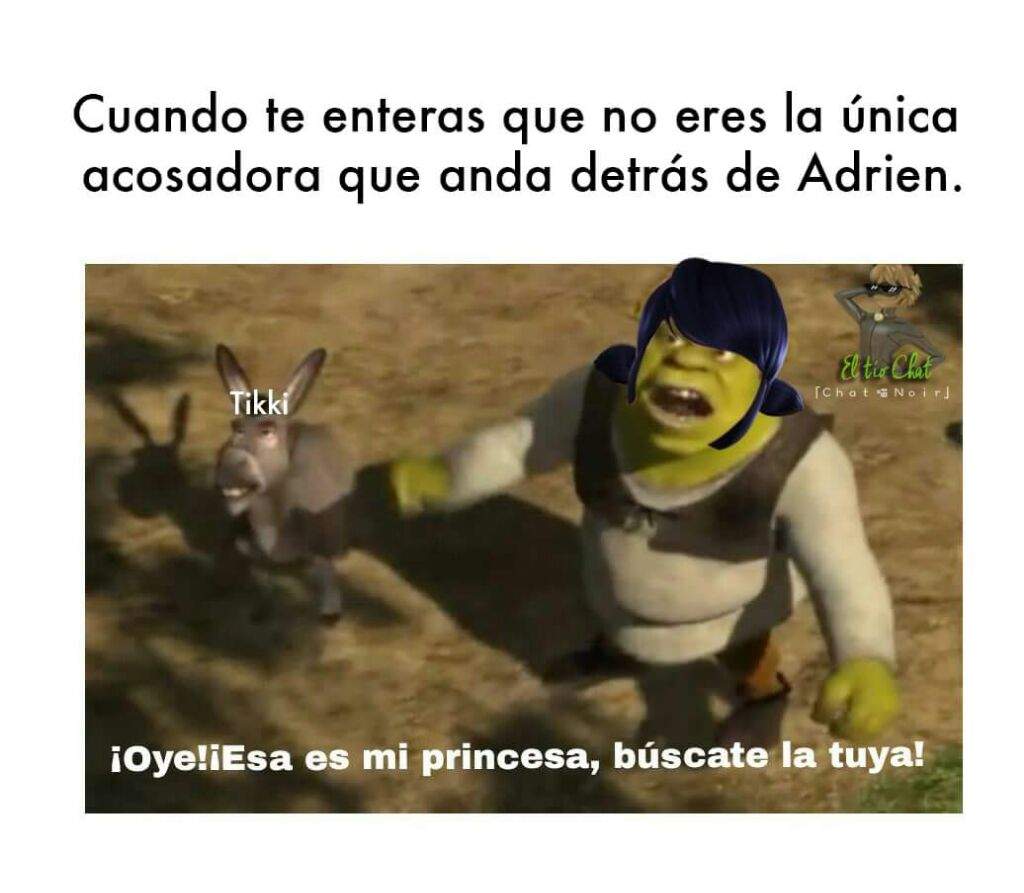 Uno Que Otros Memes Xd Miraculous Ladybug Espaol Amino