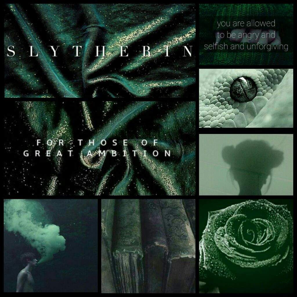 Slytherin Aesthetic | Harry Potter Amino