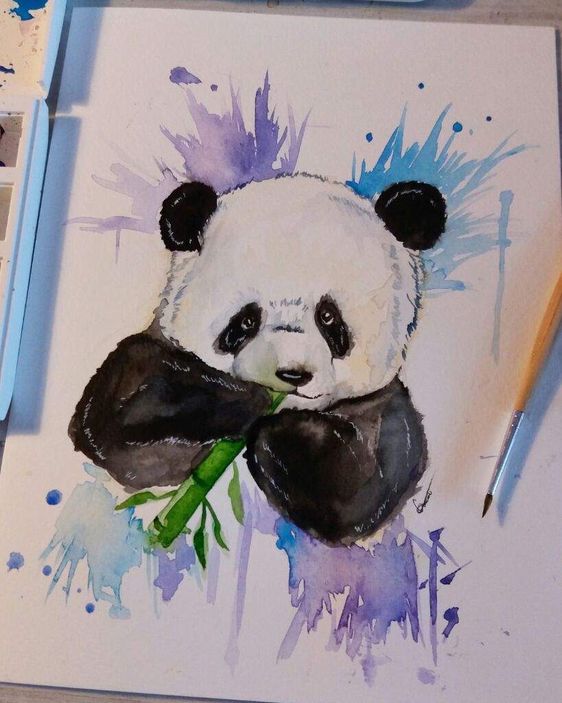 Watercolor panda | Art Amino