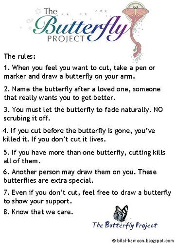 The Butterfly Project | Supportive Amino Amino