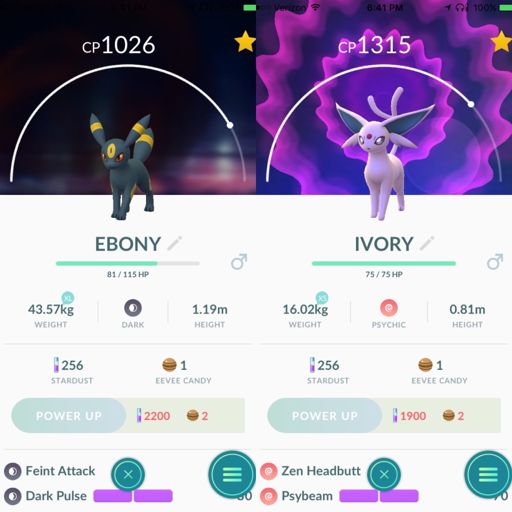 Ebony 'N Ivory | Pokemon GO Amino