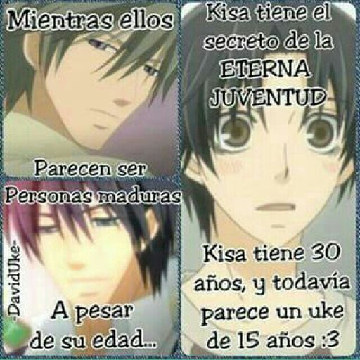 solo Kisa señores | •Anime• Amino