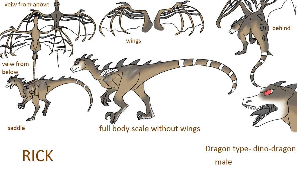 Dino dragons Dinosaur Amino