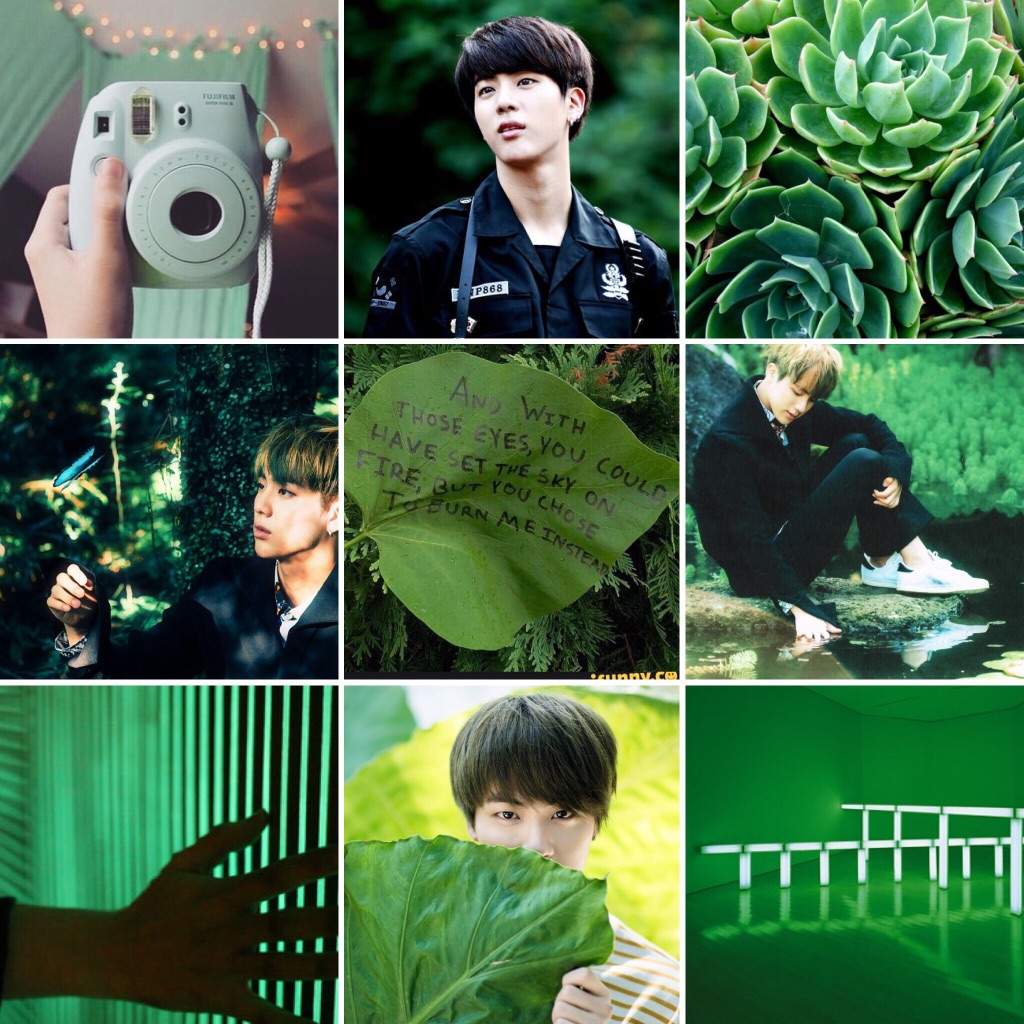 Yellow And Green Aesthetic Mood Board Army S Amino From brown to green and heterochromia our eyes reflect our varied genetic landscape. yellow and green aesthetic mood board