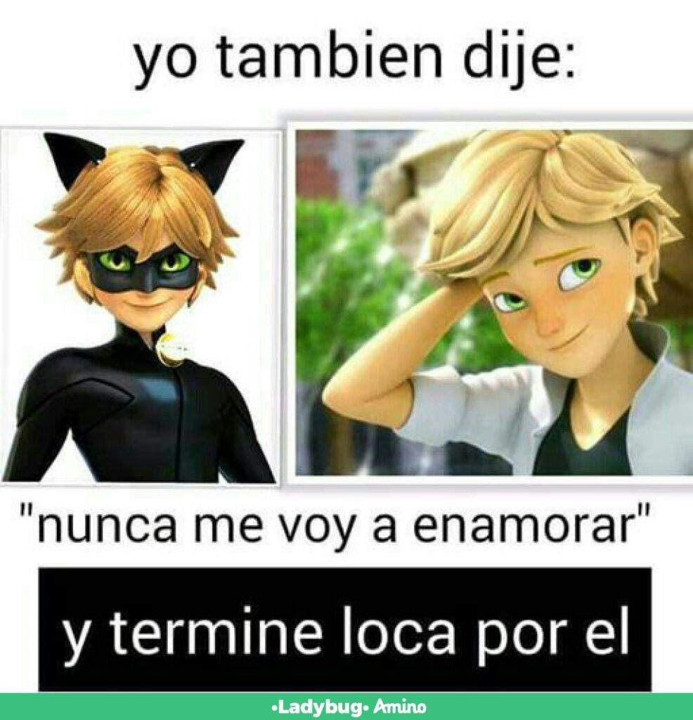 Memes MLB | •Miraculous Ladybug Español• Amino