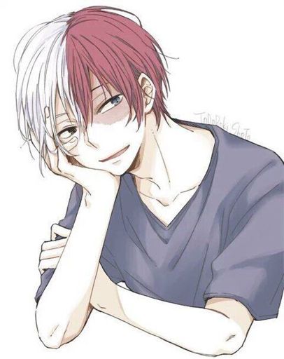 Shoto Todoroki | Wiki | Anime Amino