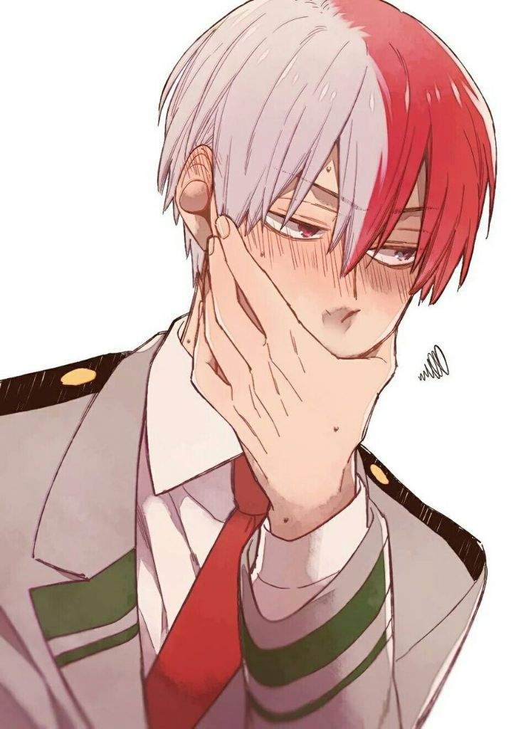 Shoto Todoroki 