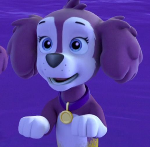 paw patrol pups save a mer pup dailymotion