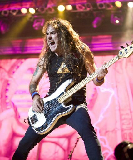 Steve Harris | Wiki | Metal Amino